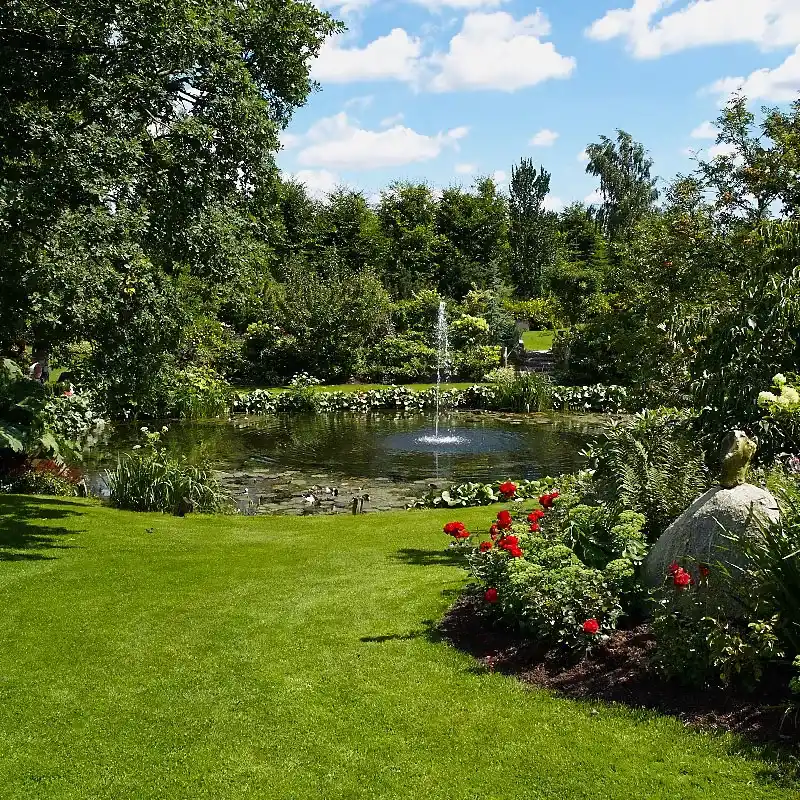 تصميم برك الاستحمام بناء المسابح البيئية برك - IMG 03