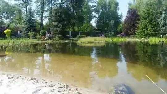 تصميم برك الاستحمام - برك زخرفية