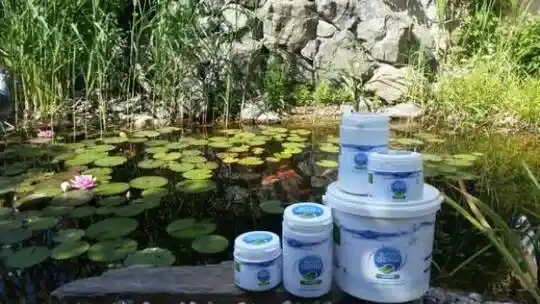 تصميم برك الاستحمام - التحضيرات للبرك