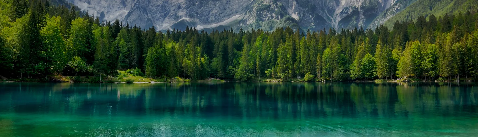 تصميم برك الاستحمام - الشريحة 03